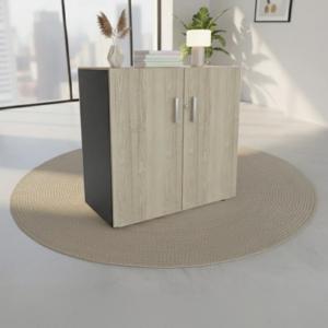 Office Cupboard - OCM001