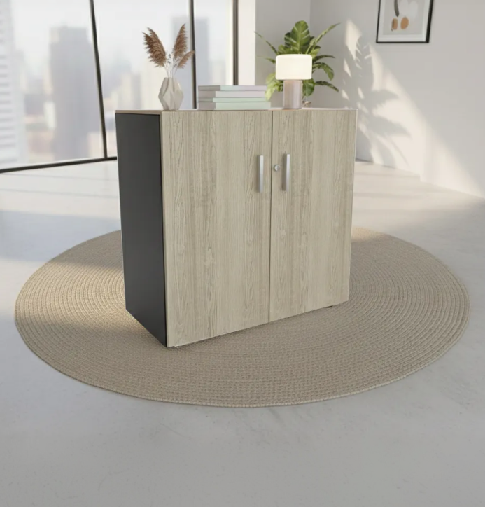 Office Cupboard - OCM001
